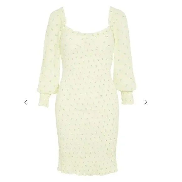 NWT Faithful The Brand Gombardy Mini Dress in Bisset Floral - Picture 11 of 16